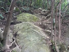 -午潮山国家森林公园