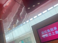 -老板恋上鱼(恒隆广场店)