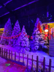 -圣名游乐城冰雪大世界