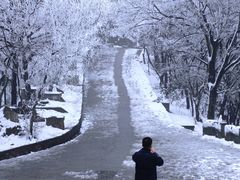 -紫金山山顶公园
