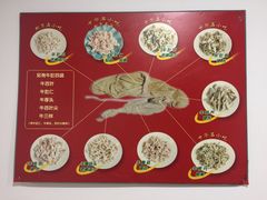-金生隆(六铺炕店)