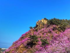 -青岛大珠山景区
