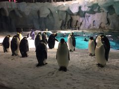 -广东省拱北口岸中国旅行社(华宾营业部)