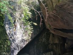 -秦岭终南山世界地质公园翠华山景区