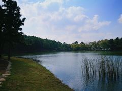 -南京市无想山景区