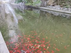 -北京上方山国家森林公园