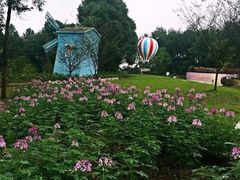 -铁山坪森林公园