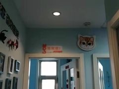 -纳吉亚猫专科动物医院博雅分院