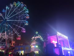 -巨鹏飞梦幻海岸