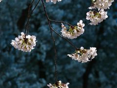 -龙美术馆(西岸馆)