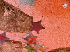 -沈阳海洋探索中心