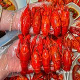 去成都一定要吃这份小龙虾拌面！！全是虾肉