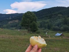 -芦芽山旅游度假区