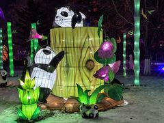 -沈阳奥体冰雪嘉年华