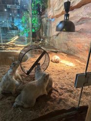 -Zoolung Zoolung动物主题公园(海信广场店)