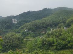-长沙黑麋峰国家森林公园