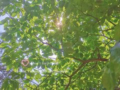 -北京西山国家森林公园