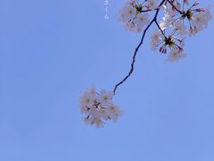 -龙美术馆(西岸馆)