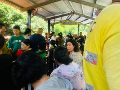 -将军关探险漂流