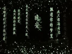 -荷兰花海