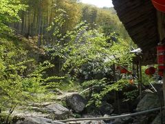 -山沟沟景区