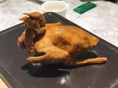 -大鸽饭(体育西路店)