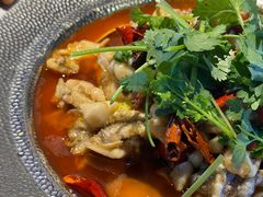 -眼镜哥浦江夜宵大本营