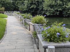 -荔枝公园(福田区)