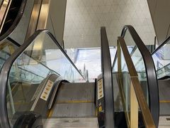 -乐天免税店(明洞店)