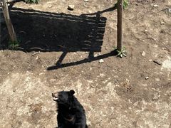 -哈尔滨北方森林动物园