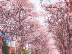 -亦庄创意生活广场