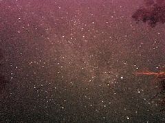 -维乐口腔医院(星海湾分院)