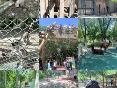 -水上乐园·欢乐世界