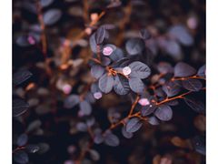 -白塘生态植物园