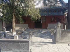 -大觉寺-停车场