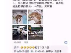 盛京一禾-盛京一禾