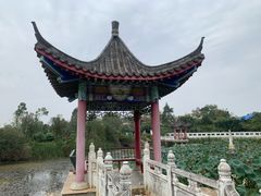 -青龙山国家森林公园