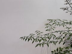 -akiamai秋甜(园艺山店)