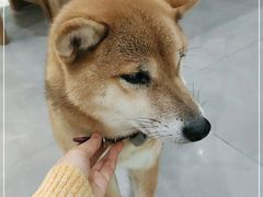 -NOTBAD 须时·咖啡馆