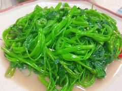 -顺德南宏海立方海洋公园