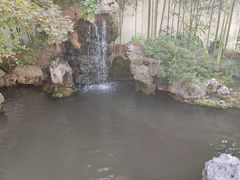 -上海醉白池公园
