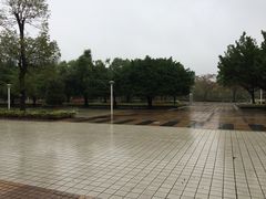 -顺德职业技术大学
