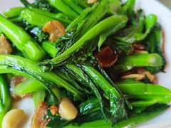 生炒菜心-荷香居(洞企石路店)