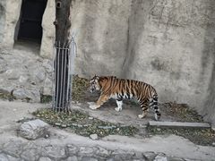-北京动物园