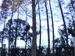 -一兆韦德健身(浦东万达会所)