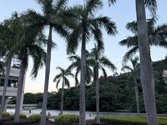 -厦门国家会计学院
