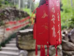 -东明山森林公园