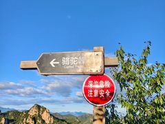 -大岭沟猕猴桃谷风景区