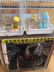 -汇乐童儿童主题乐园(李老社区商业中心店)