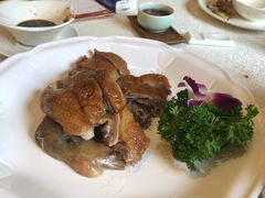 -龙悦湾酒家·八阵鱼生·渔人码头店
